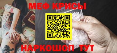 ECSTASY Гатчина