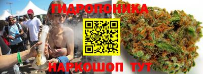 ECSTASY Гатчина
