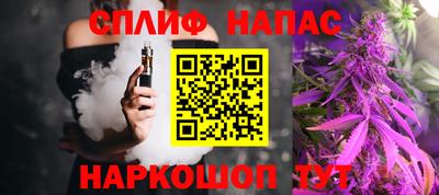 ECSTASY Гатчина