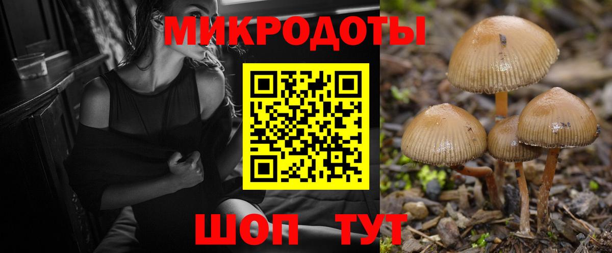 Отрадное  где найти   Вход с VPN  Галлюциногенные грибы GOLDEN TEACHER  Галлюциногенные грибы MAGIC MUSHROOMS 